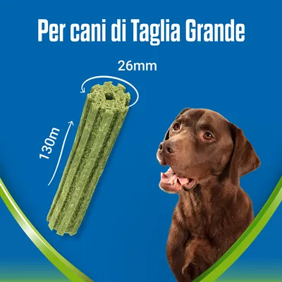 Snack verde per cani di taglia grande, lunghezza 130 mm, diametro 26 mm. Testo: Per cani di Taglia Grande. Cane marrone visibile a destra.