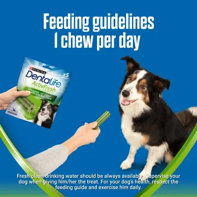 Feeding guidelines: one chew per day. Image shows a hand offering a dental chew to a dog, with advice to provide fresh water and supervise while giving the treat.