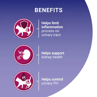 Benefits: helps limit inflammation process on urinary tract, helps support kidney health, helps control urinary pH.