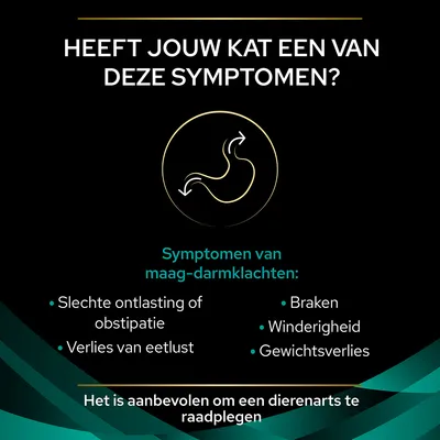 Symptomen van maag-darmklachten bij katten: slechte ontlasting of obstipatie, verlies van eetlust, braken, winderigheid, gewichtsverlies. Raadpleeg een dierenarts wordt aanbevolen.