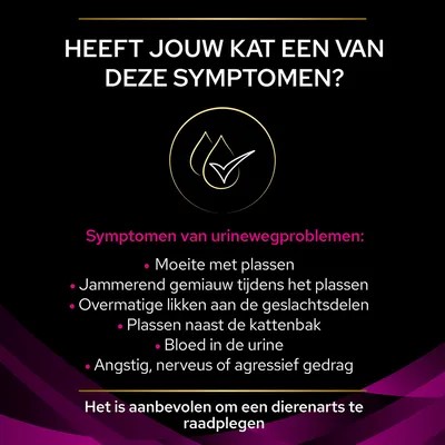 Symptomen van urinewegproblemen bij katten: moeite met plassen, jammerend gemiauw, overmatig likken, plassen naast de kattenbak, bloed in urine, angstig of agressief gedrag. Raadpleeg dierenarts.