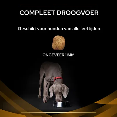 COMPLEET DROOGVOER. Geschikt voor honden van alle leeftijden. Brokgrootte ongeveer 11 mm. Afbeelding van een hond etend uit een metalen voerbak.