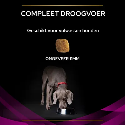 Compleet droogvoer, geschikt voor volwassen honden, brokgrootte ongeveer 11 mm. Afbeelding van een hond etend uit een metalen voerbak.