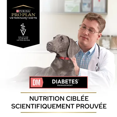 Purina Pro Plan Veterinary Diets, Solution clinique vétérinaire, DM Diabetes Management, Nutrition ciblée scientifiquement prouvée. Texte en français belge visible sur l’image.