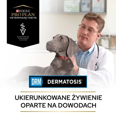 Purina Pro Plan Veterinary Diets, DRM Dermatosis, weterynaryjne rozwiązania kliniczne. Ukierunkowane żywienie oparte na dowodach.