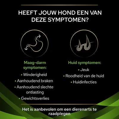 Maag-darm symptomen: winderigheid, aanhoudend braken, slechte ontlasting, gewichtsverlies. Huid symptomen: jeuk, roodheid van de huid, huidinfecties. Raadpleeg een dierenarts.