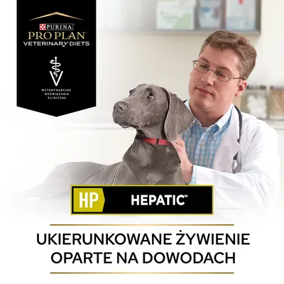 Purina Pro Plan Veterinary Diets HP Hepatic, weterynaryjne rozwiązania kliniczne. Ukierunkowane żywienie oparte na dowodach. Pies u weterynarza.