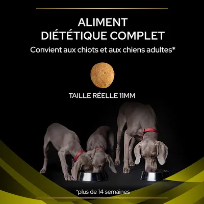 Aliment diététique complet, convient aux chiots et chiens adultes de plus de 14 semaines, taille réelle de la croquette 11 mm, trois chiens gris avec collier rouge mangeant dans des gamelles.