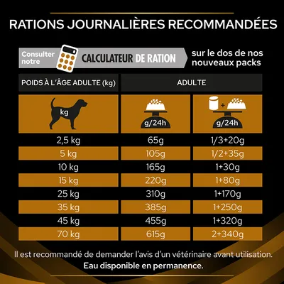 Tableau des rations journalières recommandées pour chiens adultes : de 2,5 kg (65 g) à 70 kg (615 g), avec équivalences croquettes et pâtée. Calculateur de ration mentionné.