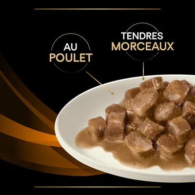 Assiette de bouchées en sauce avec texte : 'Au poulet', 'Tendres morceaux'.