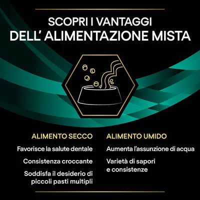 Scopri i vantaggi dell’alimentazione mista. Alimento secco: favorisce la salute dentale, consistenza croccante, soddisfa il desiderio di piccoli pasti multipli. Alimento umido: aumenta l’assunzione di acqua, varietà di sapori e consistenze.