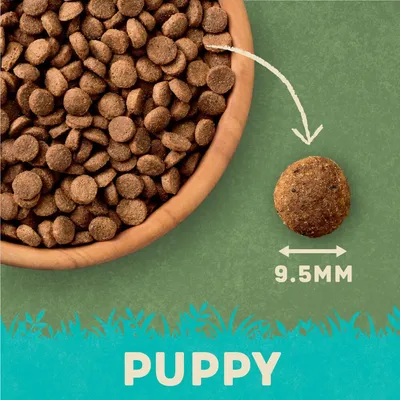 Kibble size for puppy food shown as 9.5mm diameter, with a bowl of kibble and one piece highlighted to indicate actual size.