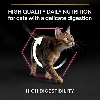 Tekst na engleskom: HIGH QUALITY DAILY NUTRITION for cats with a delicate digestion, HIGH DIGESTIBILITY. Slika mačke s grafičkim prikazom strelice.