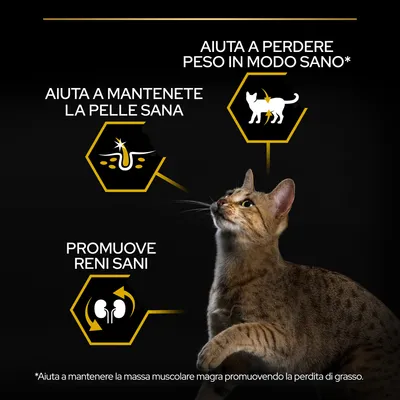 Aiuta a perdere peso in modo sano, aiuta a mantenete la pelle sana, promuove reni sani. Nota: Aiuta a mantenere la massa muscolare magra promuovendo la perdita di grasso.