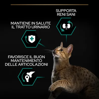 Testo: Mantiene in salute il tratto urinario, supporta reni sani, favorisce il buon mantenimento delle articolazioni. Immagine di un gatto con icone illustrative.
