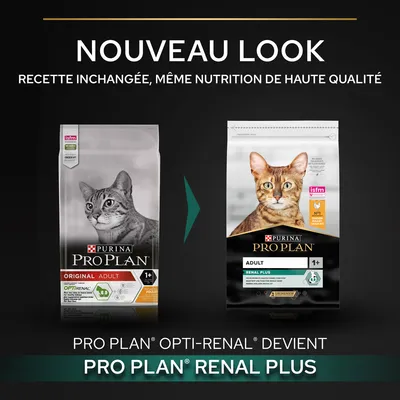 Nouveau look pour PURINA PRO PLAN chat adulte : OPTI-RENAL devient RENAL PLUS. Recette inchangée, même nutrition de haute qualité. Deux paquets visibles avec chats et logos.