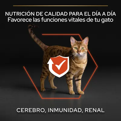 NUTRICIÓN DE CALIDAD PARA EL DÍA A DÍA. Favorece las funciones vitales de tu gato: cerebro, inmunidad, renal. Imagen de un gato con icono de escudo y marca de verificación.