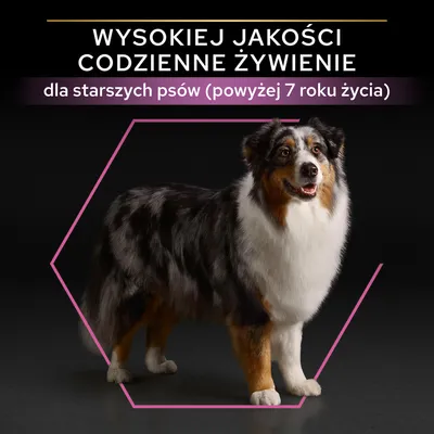 Wysokiej jakości codzienne żywienie dla starszych psów (powyżej 7 roku życia) – tekst na czarnym tle, pies stojący w ramce.