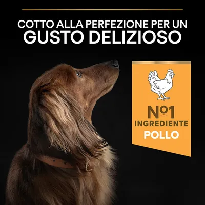 Cotto alla perfezione per un gusto delizioso. N°1 ingrediente pollo.