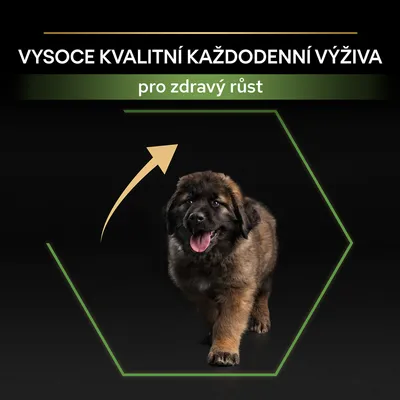 Text v češtine: VYSOCE KVALITNÍ KAŽDODENNÍ VÝŽIVA, pro zdravý růst. Šteniatko psa na čiernom pozadí s grafickou šípkou nahor.