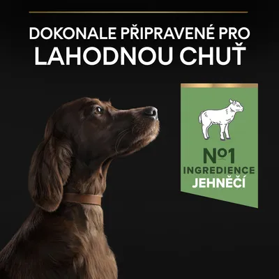 Text v češtine: Dokonale připravené pro lahodnou chuť. №1 ingredience jehněčí.