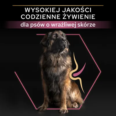 Wysokiej jakości codzienne żywienie dla psów o wrażliwej skórze – tekst na tle zdjęcia dużego psa z graficznym symbolem skóry.