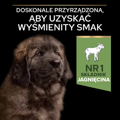 Doskonałe przyrządzona, aby uzyskać wyśmienity smak. NR 1 składnik jagnięcina. Obraz psa na czarnym tle oraz grafika z sylwetką jagnięcia.