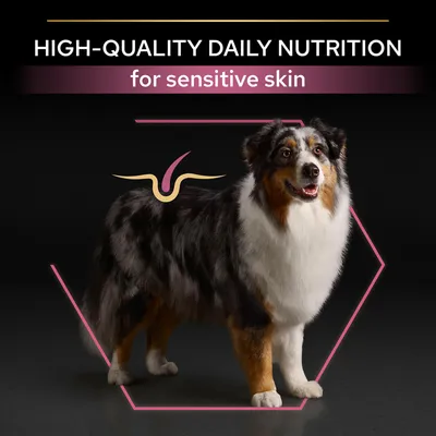 Tekst na engleskom: HIGH-QUALITY DAILY NUTRITION for sensitive skin. Pas stoji unutar ružičastog heksagona, s grafičkim prikazom kože na leđima.