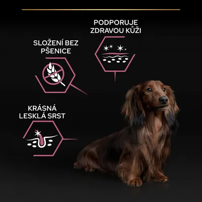 Text v češtine: Složení bez pšenice, Podporuje zdravou kůži, Krásná lesklá srst. Grafické ikony a pes s dlhou srsťou na čiernom pozadí.