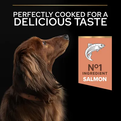 PERFECTLY COOKED FOR A DELICIOUS TASTE. N°1 INGREDIENT SALMON. Billede af hund med tekst og illustration af laks. Tekst på engelsk.