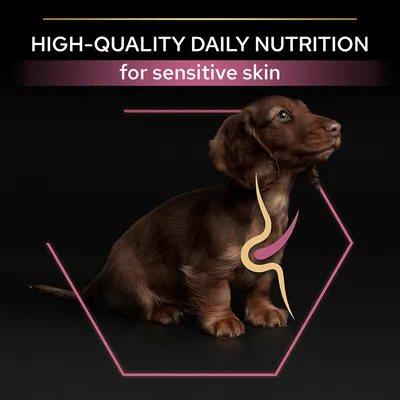 HIGH-QUALITY DAILY NUTRITION for sensitive skin, text above a brown puppy with a stylised digestive graphic on its body. All text in English.