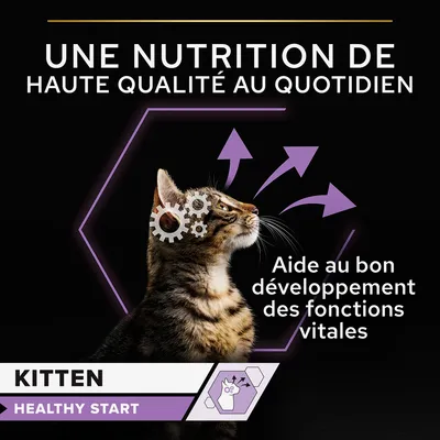 Une nutrition de haute qualité au quotidien. Aide au bon développement des fonctions vitales. Kitten Healthy Start.
