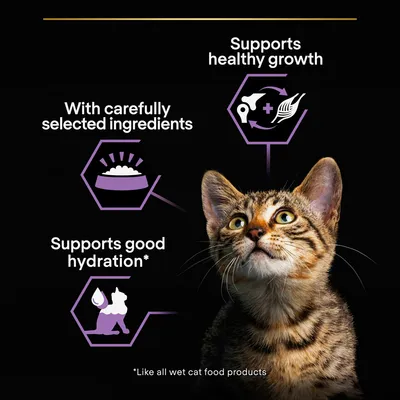 Supports healthy growth, with carefully selected ingredients, supports good hydration. Text: Like all wet cat food products. Tabby cat looking up on black background.