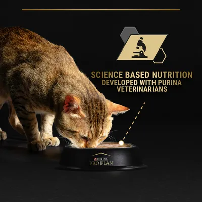 PURINA PRO PLAN tálból evő cirmos macska, háttérben angol szöveg: SCIENCE BASED NUTRITION DEVELOPED WITH PURINA VETERINARIANS, mikroszkóp ikon PURINA PRO PLAN tálból evő cirmos macska, háttérben angol szöveg: SCIENCE BASED NUTRITION DEVELOPED WITH PURINA VETERINARIANS, mikroszkóp ikon