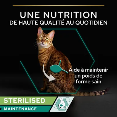 UNE NUTRITION DE HAUTE QUALITÉ AU QUOTIDIEN. Aide à maintenir un poids de forme sain. STERILISED MAINTENANCE.