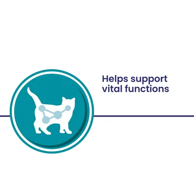 Helps support vital functions