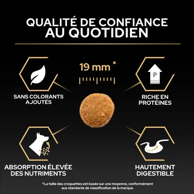 Croquettes de 19 mm de diamètre, sans colorants, riches en protéines, absorption élevée des nutriments, facilement digestibles. Qualité de confiance au quotidien.