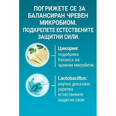 Purina ONE Adult със сьомга и пълнозърнести храни