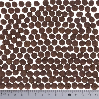 Close-up van bruine, ronde brokjes droogvoer met een liniaal onderaan voor maatweergave in centimeters.