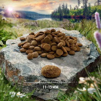 Ronde brokken hondenvoer op steen, met een enkele brok en maatindicatie: 11–13 mm diameter zichtbaar onderaan.