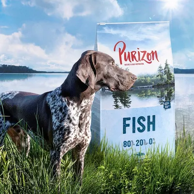 Cane davanti a sacco di crocchette Purizon Fish, testo visibile: 'Purizon Nature is our inspiration', 'FISH', '80% 20% 0%', paesaggio naturale sullo sfondo della confezione.