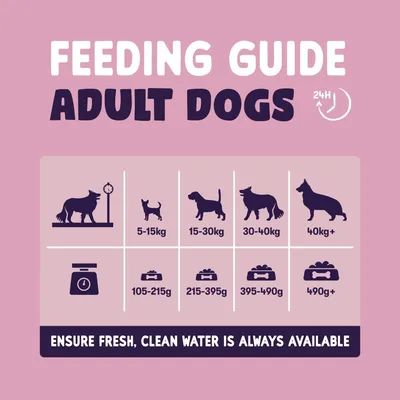 Feeding guide for adult dogs: 5-15kg need 105-215g, 15-30kg need 215-395g, 30-40kg need 395-490g, over 40kg need 490g+. Always provide fresh, clean water.