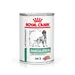 Royal Canin Veterinary Canine Diabetic Special Low Carb Mousse