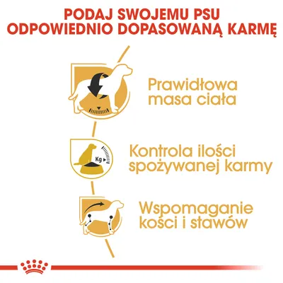 Podaj swojemu psu odpowiednio dopasowaną karmę. Prawidłowa masa ciała, kontrola ilości spożywanej karmy, wspomaganie kości i stawów.