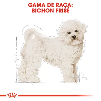 Gama de raça: Bichon Frisé. Ilustração de um cão Bichon Frisé com linhas de medidas ao redor do corpo.