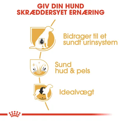 Giv din hund skræddersyet ernæring. Bidrager til et sundt urin­system, sund hud & pels, idealvægt.