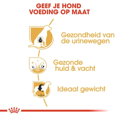 Geef je hond voeding op maat. Gezondheid van de urinewegen, gezonde huid & vacht, ideaal gewicht.