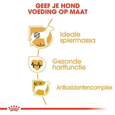 Geef je hond voeding op maat. Ideale spiermassa, gezonde hartfunctie, antioxidantencomplex.