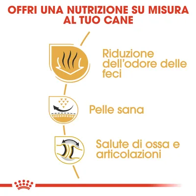 Offri una nutrizione su misura al tuo cane: riduzione dell’odore delle feci, pelle sana, salute di ossa e articolazioni.