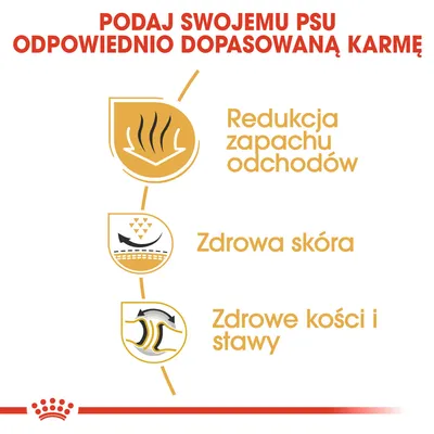 Podaj swojemu psu odpowiednio dopasowaną karmę. Redukcja zapachu odchodów, zdrowa skóra, zdrowe kości i stawy.